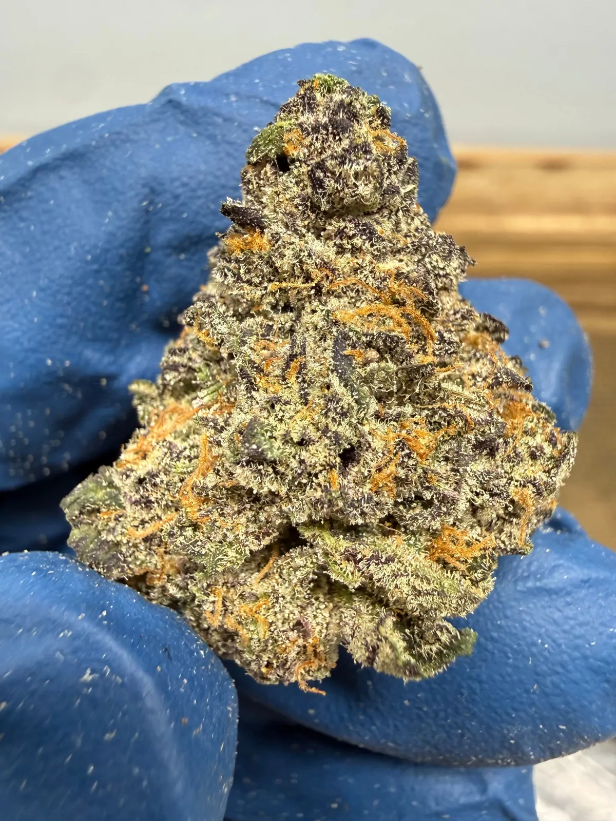 Gelato 41 Packaged Flower